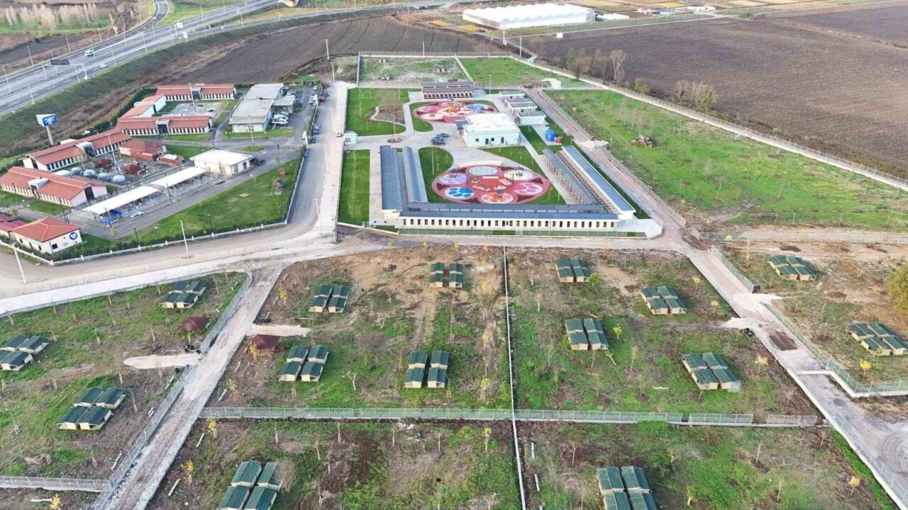 Sakarya Büyükşehir Belediyesi, 150 köpeği kabul eden Sokak Hayvanları Doğal