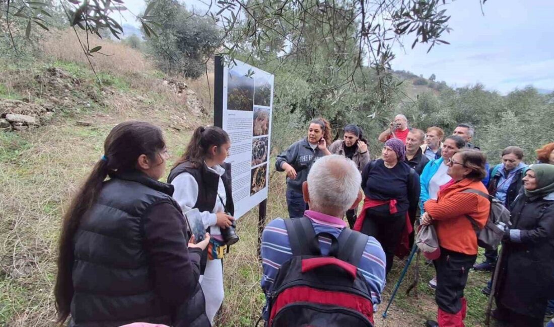 Aydın’da Trekking Etkinlikleri Devam Ediyor; Mastaura Antik Kenti Doğaseverlerin İlgi Odağı Oldu Aydın Büyükşehir Belediyesi, doğa tutkunları için trekking etkinliklerine devam ediyor.