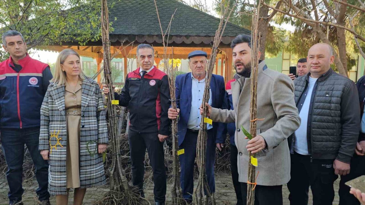 Aydın'ın Nazilli ilçesinde, Aydın Valiliği, Nazilli Kaymakamlığı ve Aydın Tarım