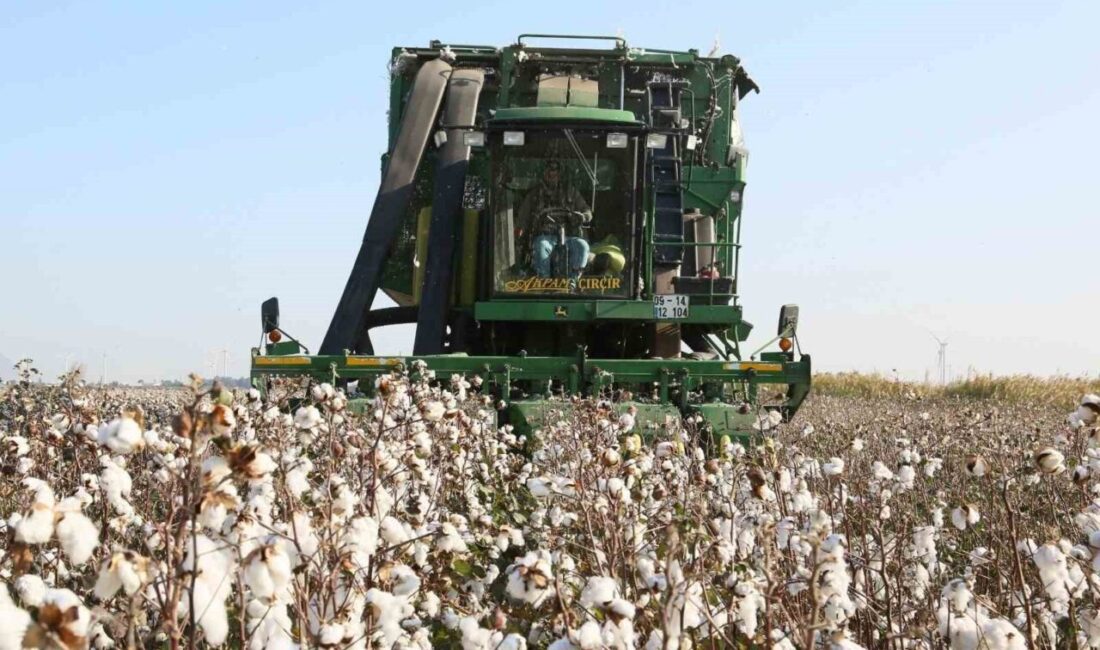 Aydın Tarım ve Orman Müdürlüğü’nden ÇKS Başvuruları İçin Önemli Hatırlatma! Aydın İl Tarım ve Orman Müdürlüğü, 2026 yılı Çiftçi Kayıt