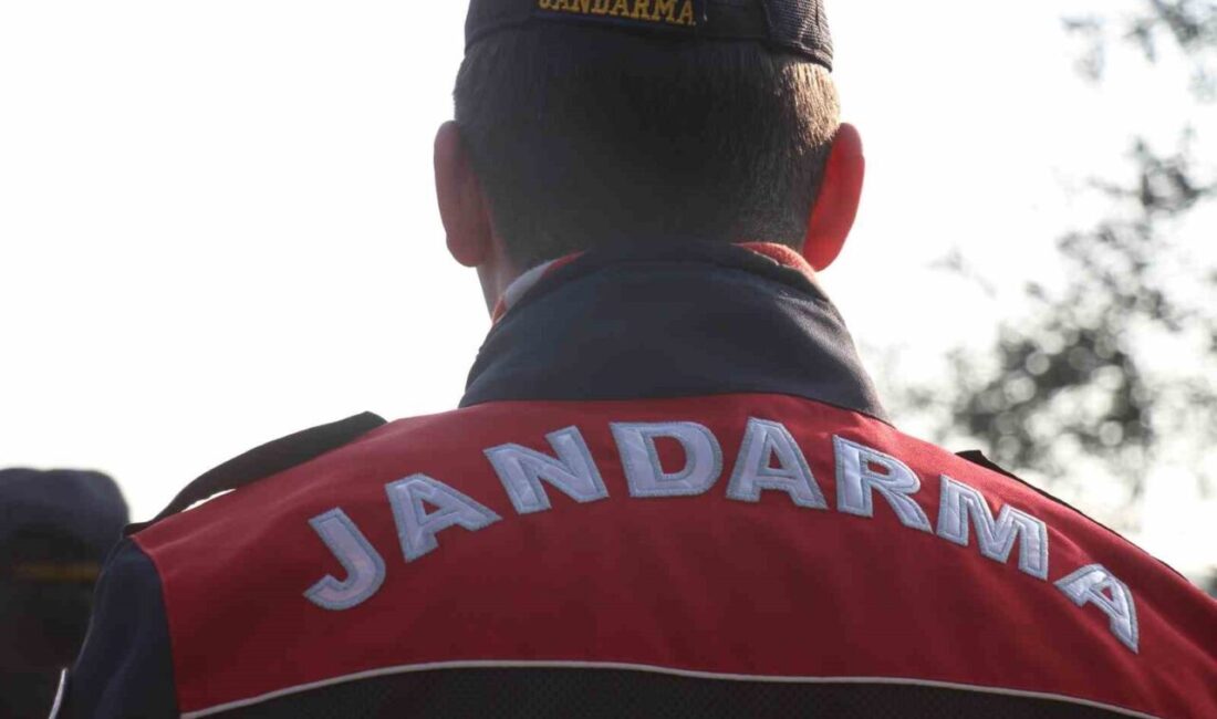 Aydın’da gerçekleştirilen operasyonlarla aranan suçlular etkisiz hale getirildi. Aydın'da jandarma, aranan şahısların yakalanması amacıyla gerçekleştirdiği operasyonlarda 56 kişiyi