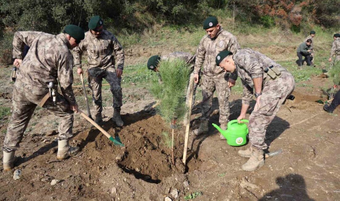 Aydın Emniyet Müdürlüğü, 33 Şehit Polis İçin 333 Fidan Dikti Aydın İl Emniyet Müdürlüğü, 33 şehit polis memuru anısına 333