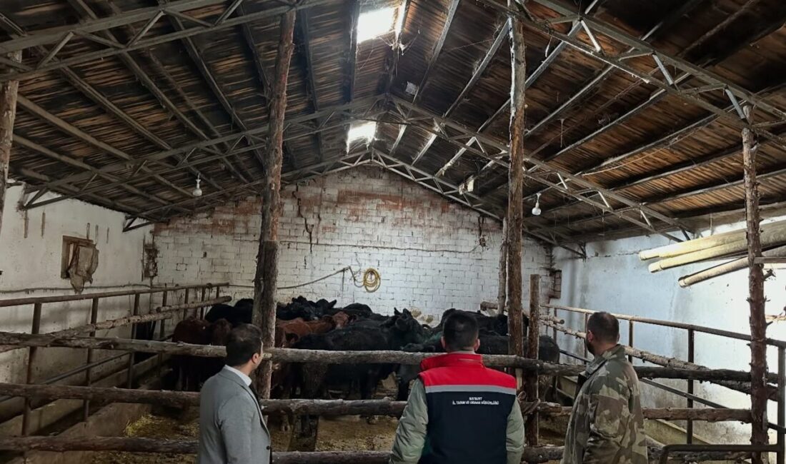 Bayburt’ta Kırsalda Bereket Projesi Kapsamında İlk Hayvan Teslimatı Yapıldı Bayburt'un Aydıntepe ilçesinde Tarım ve Orman Bakanlığı'nın 'Kırsalda Bereket Hayvancılığa