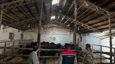 Bayburt'un Aydıntepe ilçesinde Tarım ve Orman Bakanlığı'nın 'Kırsalda Bereket Hayvancılığa