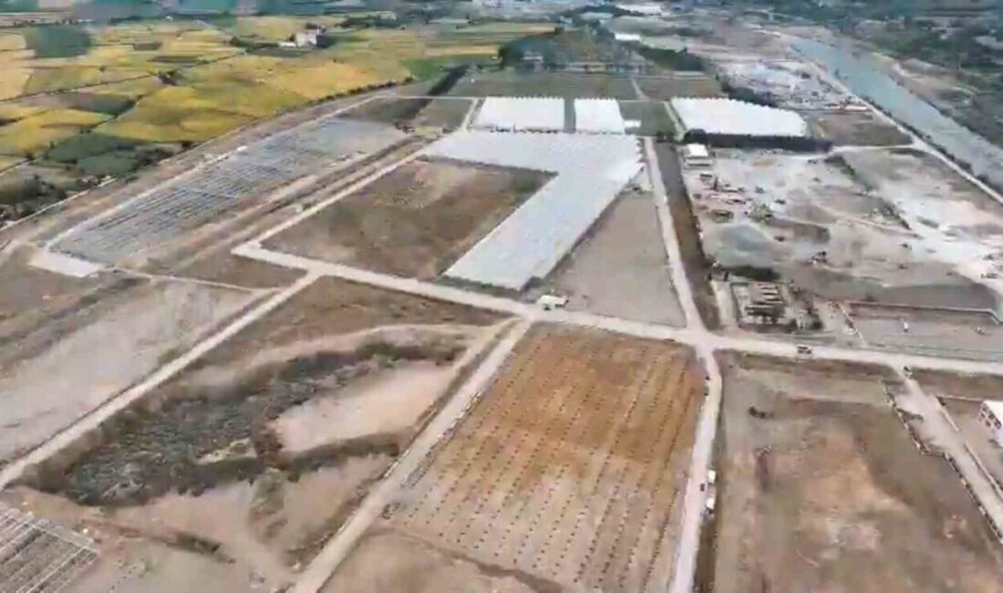 Samsun Bafra Sera Tarım Bölgesi’nde Modern Üretim ve Kadın İstihdamıyla Ekonomiye Katkı Sağlanacak Samsun Bafra Sera Organize Tarım Bölgesi, modern seralarda topraksız tarım