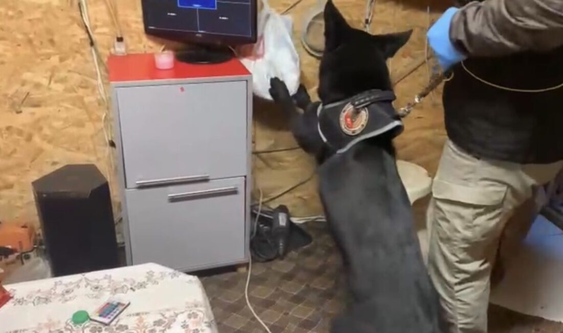 Samsun’da Uyuşturucu Yetiştirme Düzenekleri Ele Geçirildi, Bir Şahsa İşlem Yapıldı Samsun'un Havza ilçesinde M.T. (45) isimli kişinin bağ evine yapılan