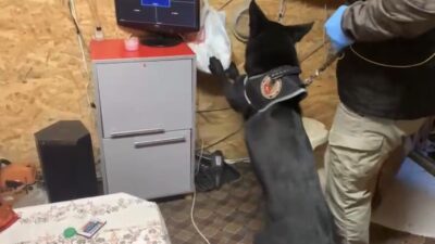 Samsun'un Havza ilçesinde M.T. (45) isimli kişinin bağ evine yapılan