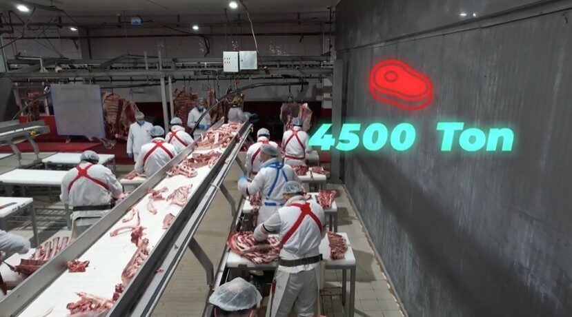 Bakan Yumaklı, "4 bin 500 ton kırmızı et üretimi ile Elazığ’ın tarımsal ve ekonomik potansiyeline güçlü bir katkı sağlayacağız"