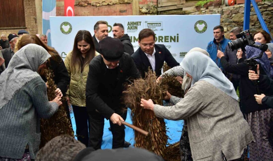 Balıkesir’de Susam Alım Töreni Gerçekleşti: Başkan Akın Fiyatı Açıkladı Balıkesir Büyükşehir Belediyesi, Sındırgı'da düzenlediği susam alım töreninde 2025 yılı
