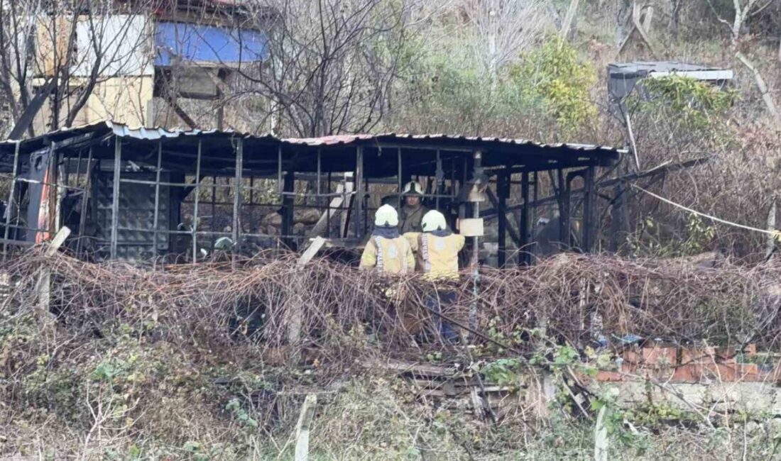 İstanbul'un Arnavutköy ilçesinde 68 yaşındaki Turhan Çanta, sobayı yakmaya çalışırken