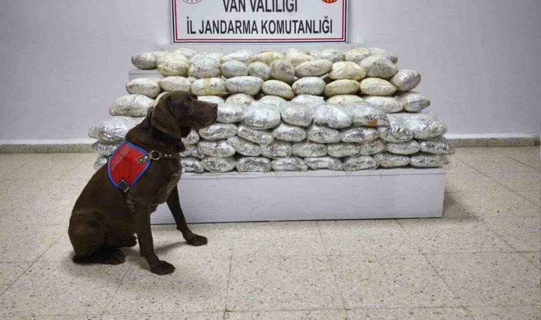 Van'ın Başkale ilçesinde gerçekleştirilen jandarma operasyonunda 60 kilogram skunk maddesi