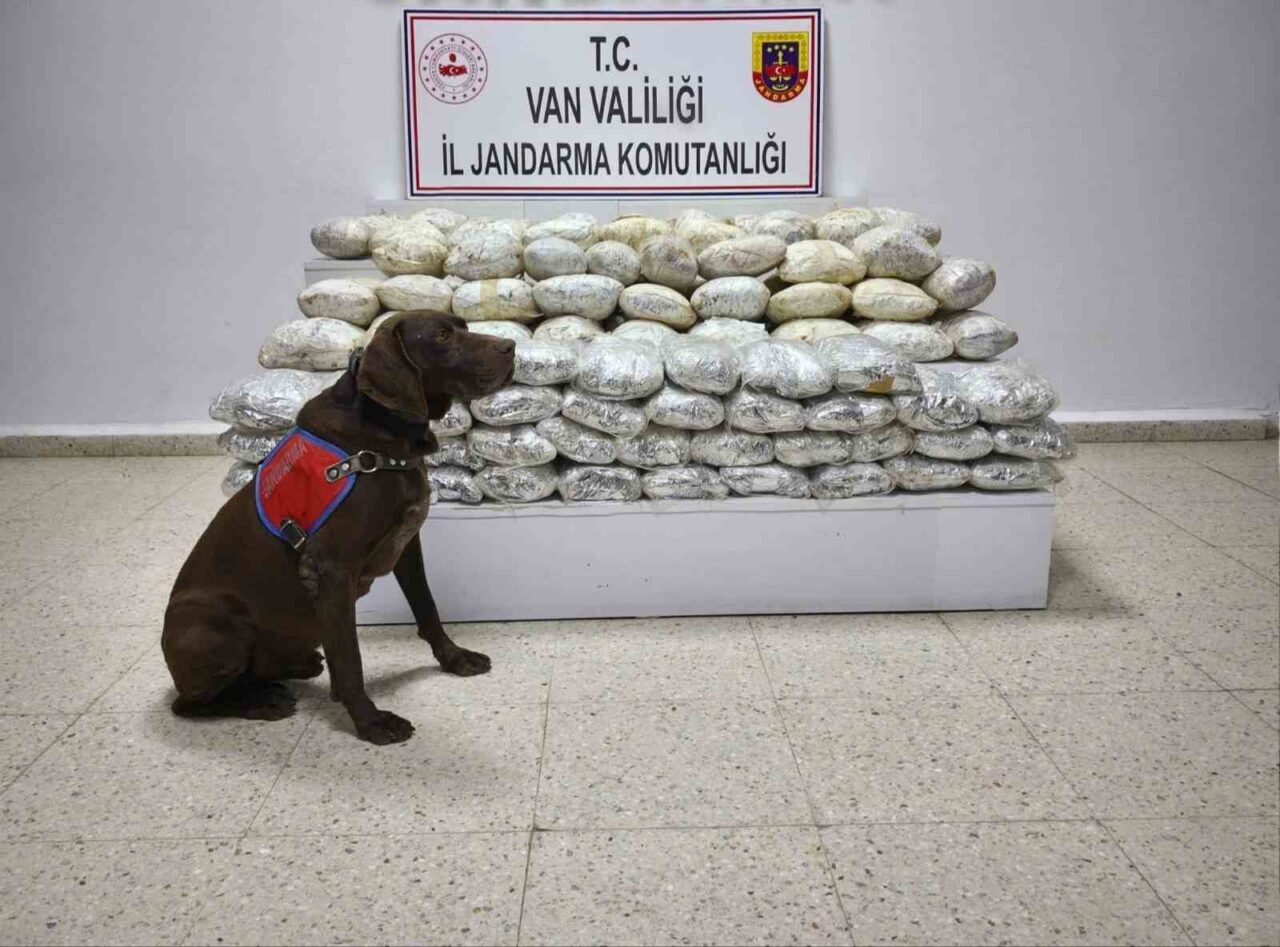 Başkale’de Jandarma Tarafından 60 Kilogram Skunk Madde Ele Geçirildi