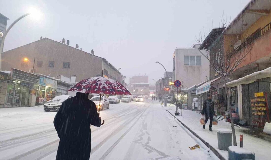 Van’ın Başkale ilçesinde akşam saatlerinde başlayan kar yağışı, sıcaklıkların sıfırın