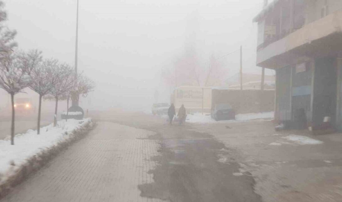 Van'ın Başkale ilçesinde etkili olan yoğun sis, görüş mesafesini 5