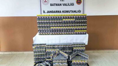 Batman'ın Gercüş ve Hasankeyf ilçelerinde düzenlenen yol kontrollerinde, jandarma ekipleri