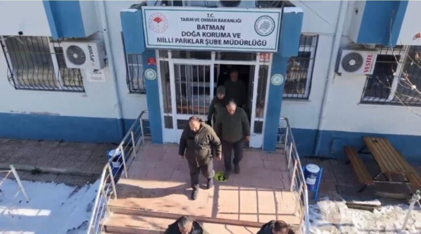 Batman’da yoğun kar sonrası yaban hayvanları için doğaya yem bırakıldı