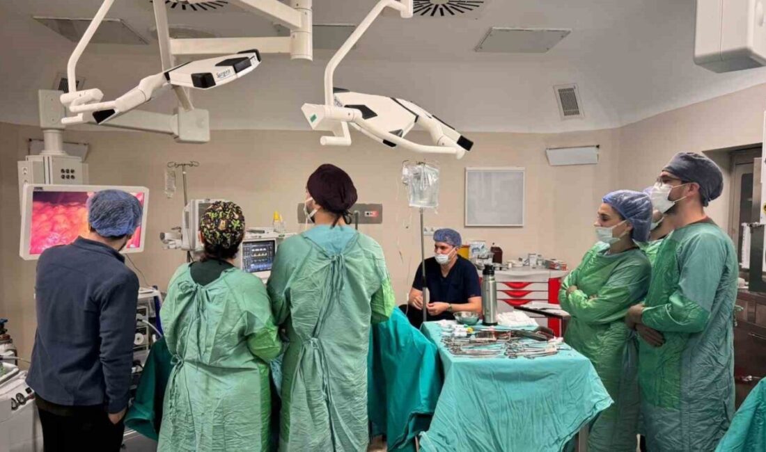 Bayburt’ta V-Notes Yöntemiyle İz Bırakmadan Cerrahi Ameliyat Başarıyla Gerçekleştirildi Bayburt Devlet Hastanesi, Türkiye'de nadir uygulanan V-Notes izsiz cerrahi yöntemini