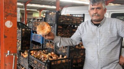 Çanakkale'nin Bayramiç ilçesindeki köylüler, Kaz Dağları'nda toplanan 'çam melkisi' yani