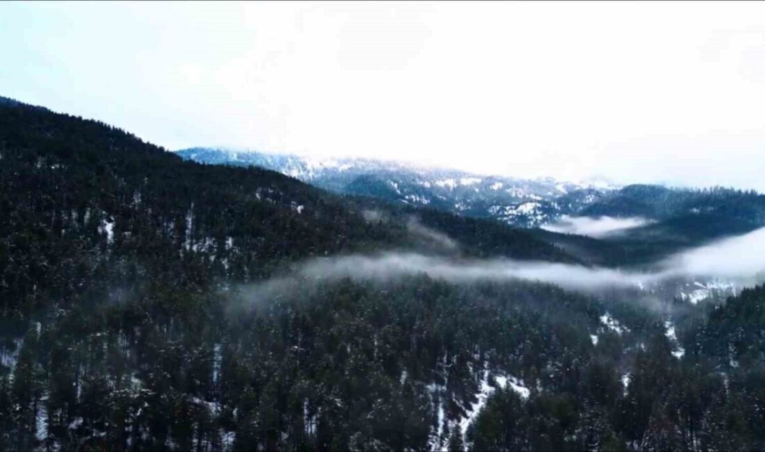 Ilgaz Dağı’nın Havadan Görüntülenmesi: Beyaz Eşya İçinde Kartpostallık Manzaralar Ortaya Çıktı Çankırı-Kastamonu sınırındaki Ilgaz Dağı, etkili kar yağışıyla beyaza büründü. Kar