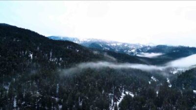 Çankırı-Kastamonu sınırındaki Ilgaz Dağı, etkili kar yağışıyla beyaza büründü. Kar