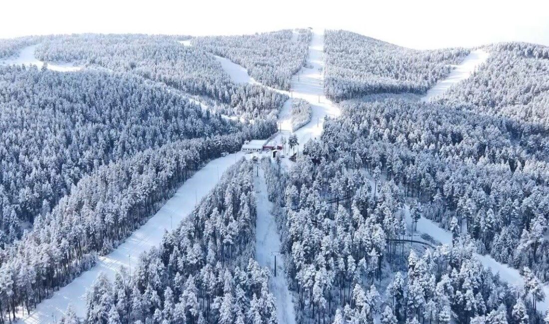 Kars’ın Sarıkamış ilçesi, erken yağan karlarla beyaza bürünerek kış masalını