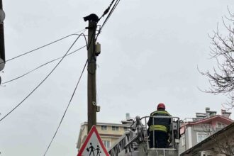 Konya’da Telefon Direğindeki Mahsur Kedi, İtfaiye Ekipleri Tarafından Kurtarıldı