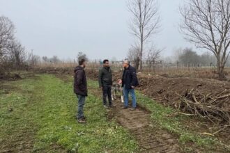 Bilecik Kınık Köyü’nde Dere Islahı Çalışmaları Başladı, Taşkın Riski Azaltılacak
