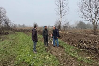 Bilecik Kınık Köyü’nde Dere Islahı Çalışmaları Başladı, Taşkın Riski Azaltılacak