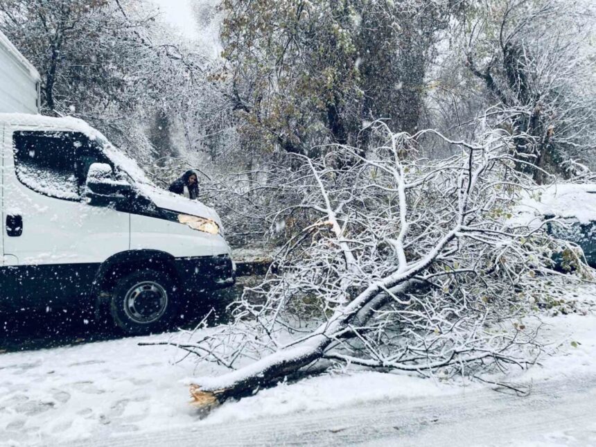 Şanlıurfa’da devam eden kar yağışı Birecik’te ağaç dallarını koparıp araçların üzerine düşürdü.