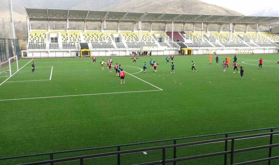 Bölgesel amatör ligde mücadele eden Bitlis 1916, 8 maç sonunda