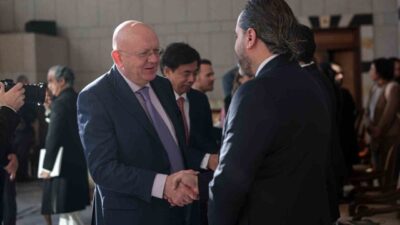 Birleşmiş Milletler Güvenlik Konseyi, Beşar Esad rejiminin devrilmesinin birinci yıldönümünde