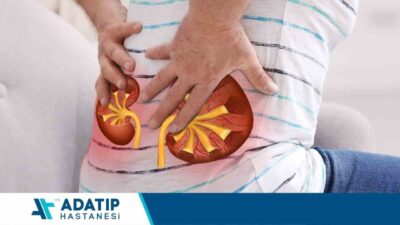 Türkiye’de böbrek taşı hastalığının görülme sıklığı artıyor. Üroloji Uzmanı Op.