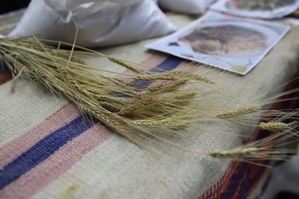 Ardahan Üniversitesi, Dünya Toprak Günü etkinlikleri çerçevesinde "Buğdayın Atası Ardahan