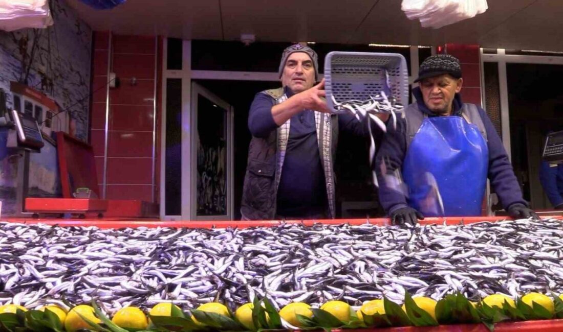 Bolu'da kış sezonunun başlangıcında hamsi, vatandaşlar tarafından yoğun ilgiyle karşılandı.