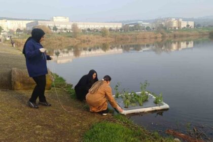 Balıkesir’de bitkisel yöntemle su arıtma: Yüzen adacıklar projesi başlatıldı.