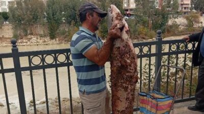 Mersin’in Silifke ilçesinde bir vatandaş, su seviyesinin düşmesiyle kolaylaşan avcılık