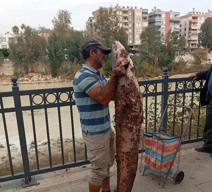 Mersin’in Silifke ilçesinde bir vatandaş, su seviyesinin düşmesiyle kolaylaşan avcılık