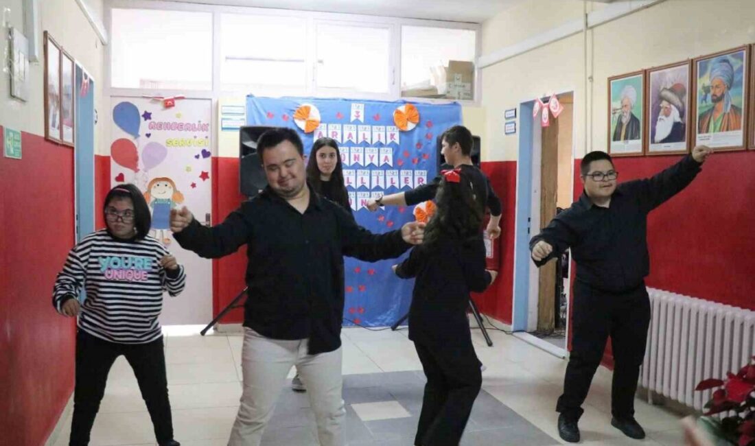 Aydın'ın Bozdoğan ilçesinde 3 Aralık Dünya Engelliler Günü, özel etkinlikle