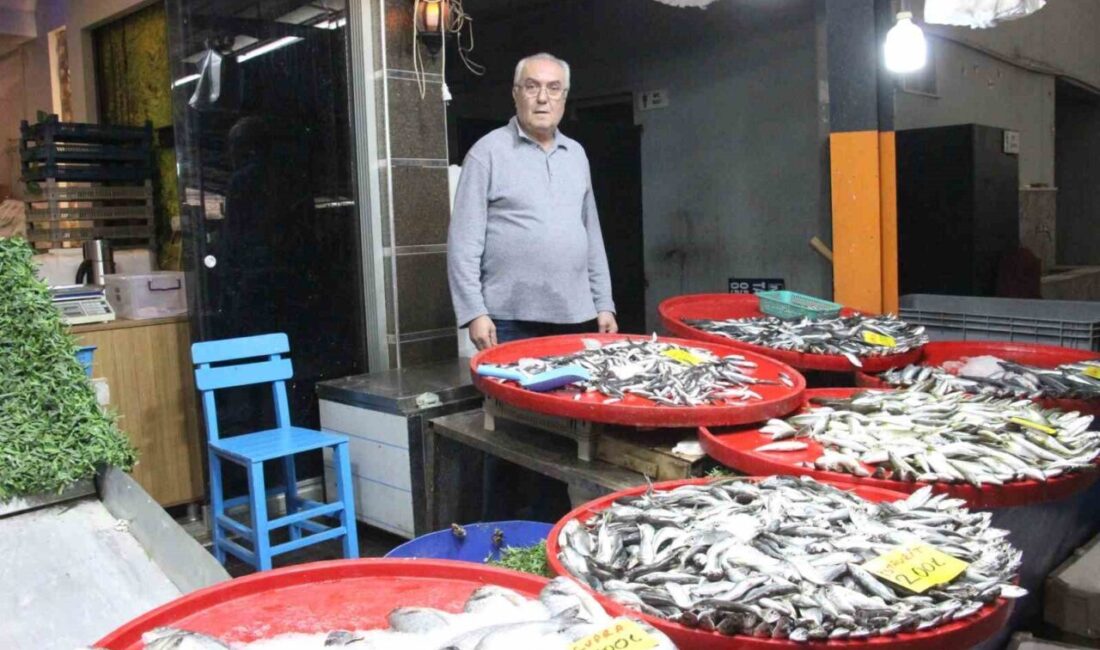 Bozdoğan'da balıkçı Mehmet Bekem, soğuyan havalarla artan balık talebine dikkat