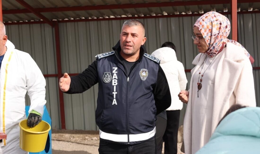 Bünyan Anadolu Lisesi öğrencileri, Bünyan Belediyesi'nin açtığı Sokak Hayvanları Doğal