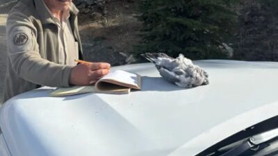 Burdur'da kaçak avcılık yapan 4 kişi, Burdur Doğa Koruma ve