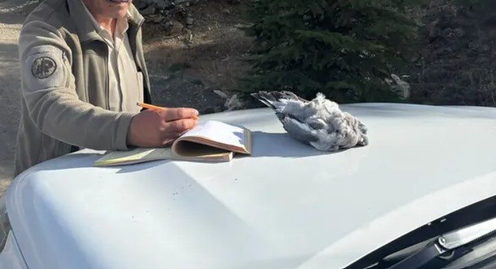 Burdur’da Kaçak Avcılık Yapan 4 Kişiye Ceza Uygulandı, Yaban Hayatı Korundu Burdur'da kaçak avcılık yapan 4 kişi, Burdur Doğa Koruma ve