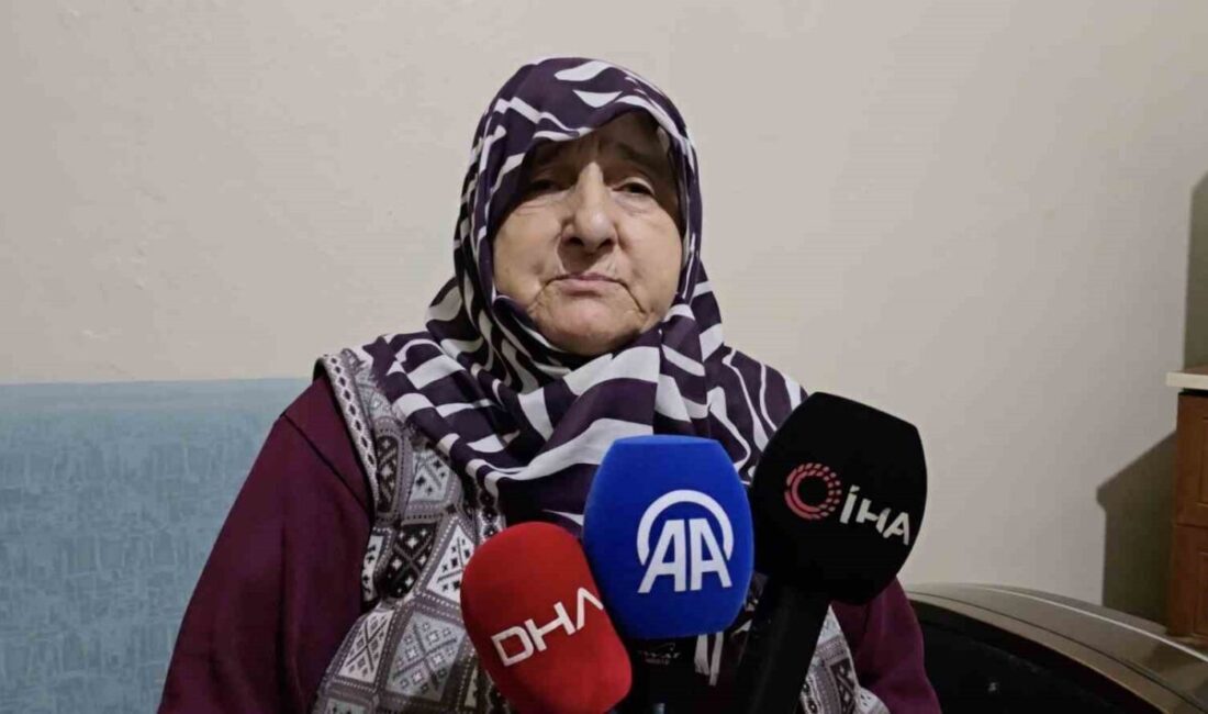 Bursa'nın Mudanya ilçesinde, 80 yaşındaki Alzheimer hastası Mustafa Abi, 6