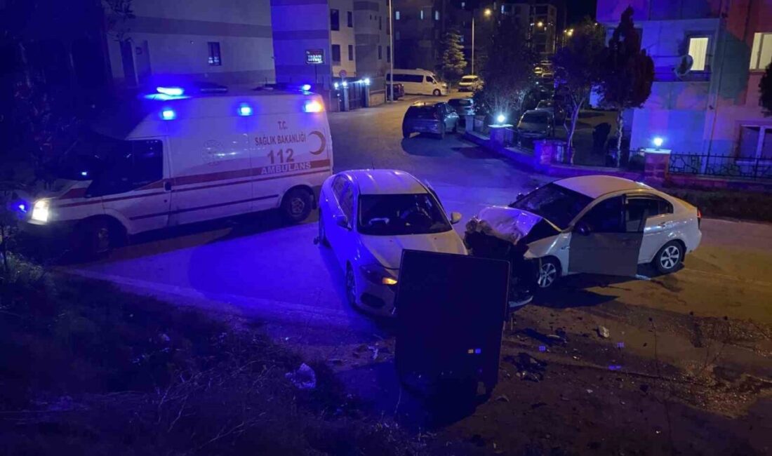 Bursa'nın Mudanya ilçesindeki Güzelyalı Siteler Mahallesi'nde meydana gelen trafik kazasında,