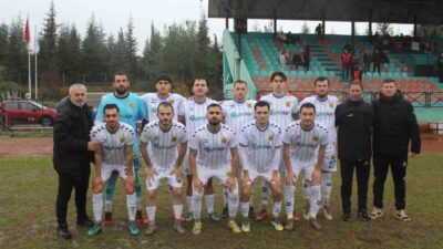 Yenişehir Belediyespor, futbol ve voleybol branşlarında önemli başarılara imza atarak