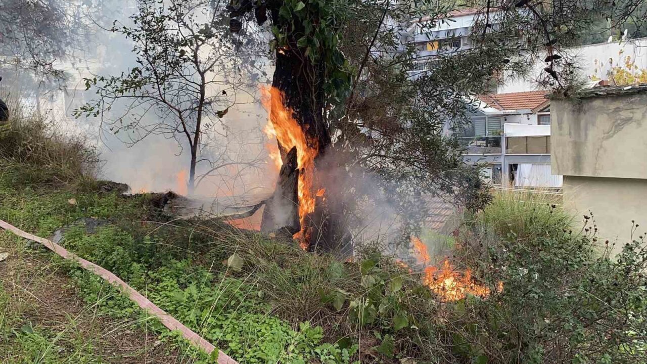 Mudanya’da Çamlık Alanda Çıkan Yangın, Erken Müdahale ile Kontrol Altına Alındı Bursa'nın Mudanya ilçesi Güzelyalı Burgaz Mahallesi'nde çamlık alanda çıkan yangın,