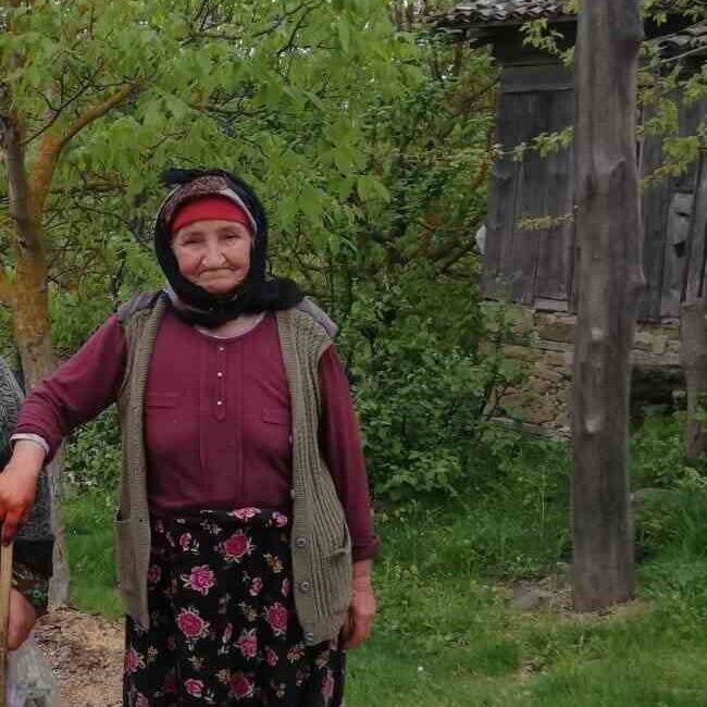 Çanakkale'nin Çan ilçesinde kaybolan 90 yaşındaki Alzheimer hastası Şefika Avcı,