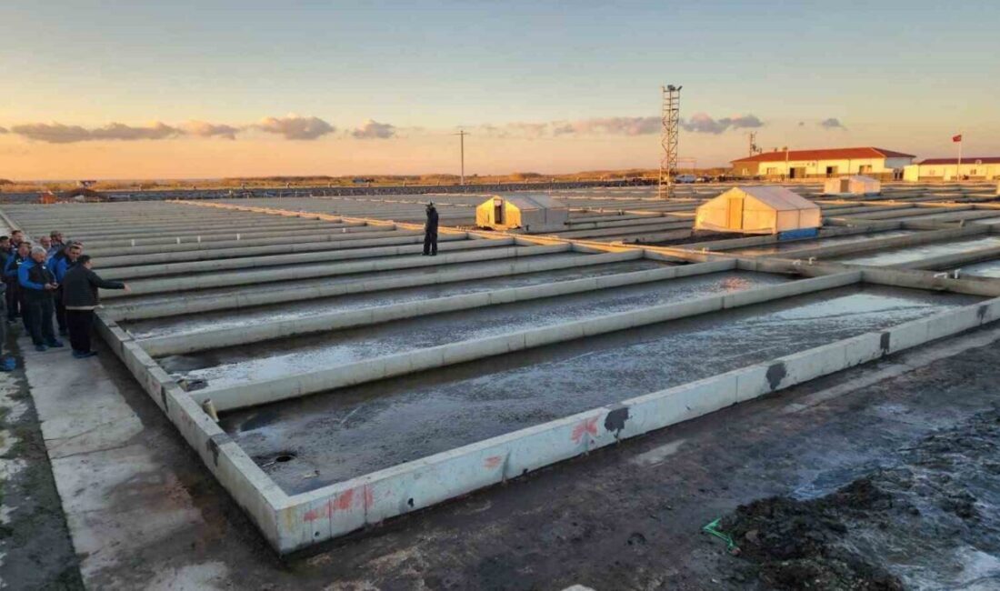 Çanakkale Ayvacık’ta Türkiye’nin Tek Deniz Solucanı Yetiştiriciliği Tesisi Faaliyete Geçti Çanakkale'nin Ayvacık ilçesinde, Türkiye'de sadece bu alanda faaliyet gösteren eşsiz