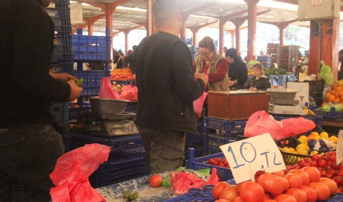 Çanakkale Domatesi Son Hasatta Fiyatında Düzeltme, 10 TL’ye Düşen Değerler Üreticiyi Zora Soktu Çanakkale'nin Bayramiç, Ezine ve batak ovasında yetişen meşhur domatesin son