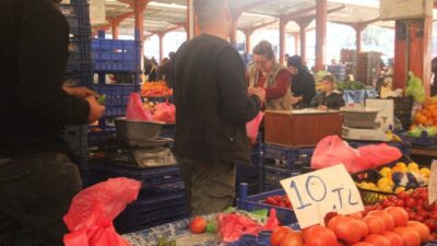 Çanakkale'nin Bayramiç, Ezine ve batak ovasında yetişen meşhur domatesin son